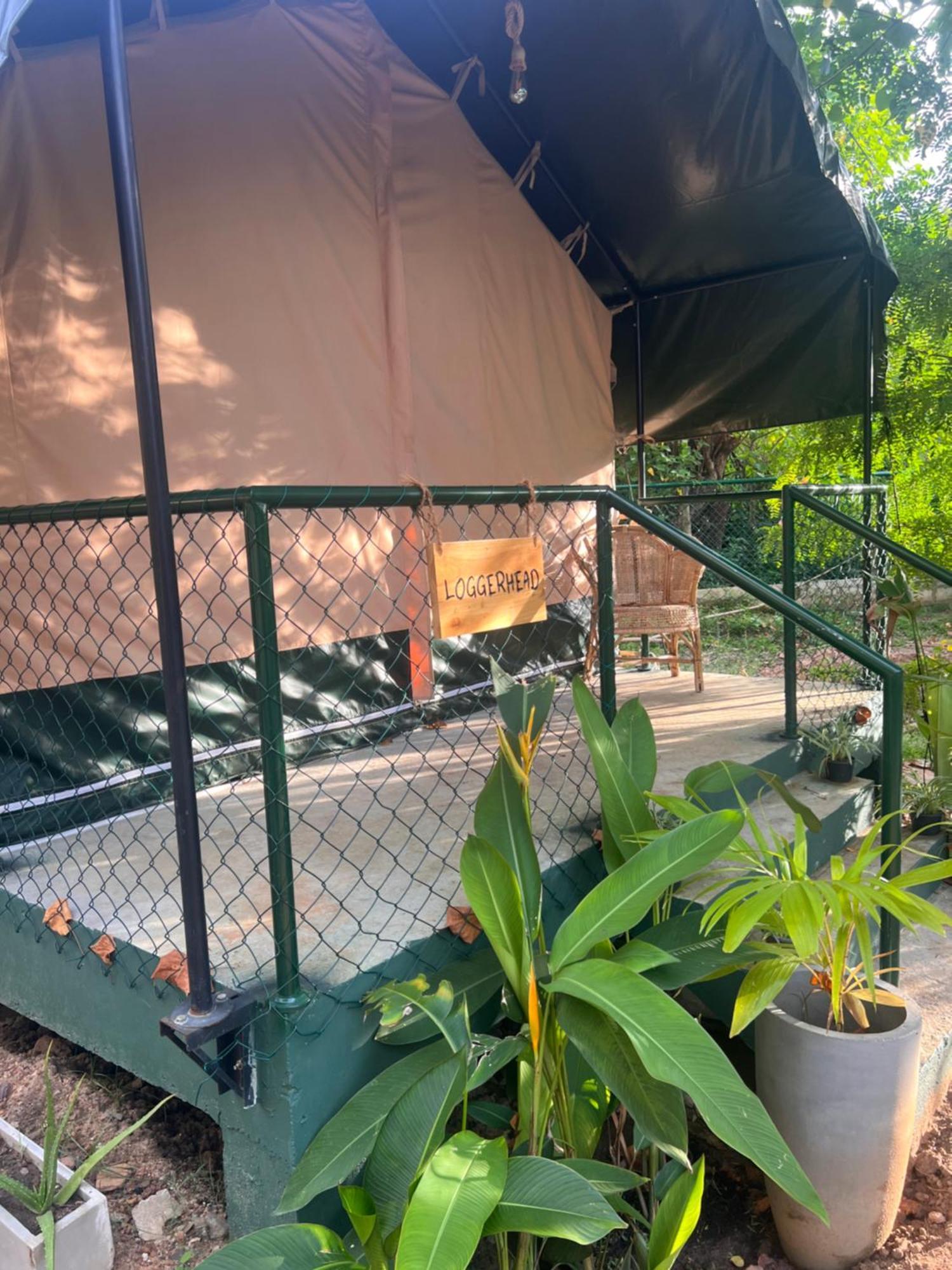 Готель At One - Glamping Rekawa Екстер'єр фото